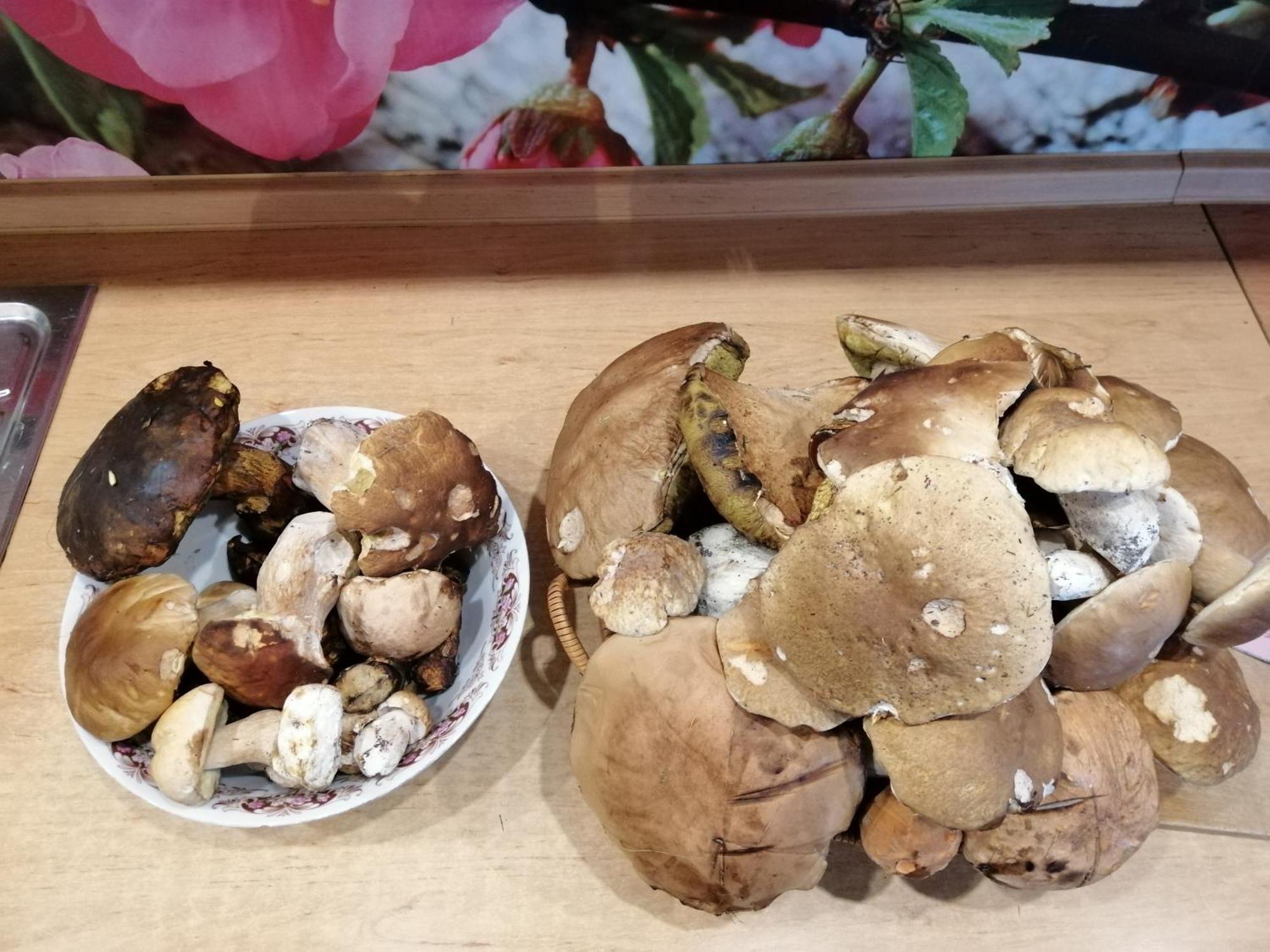 Penzion Jura Chřibská 外观 照片