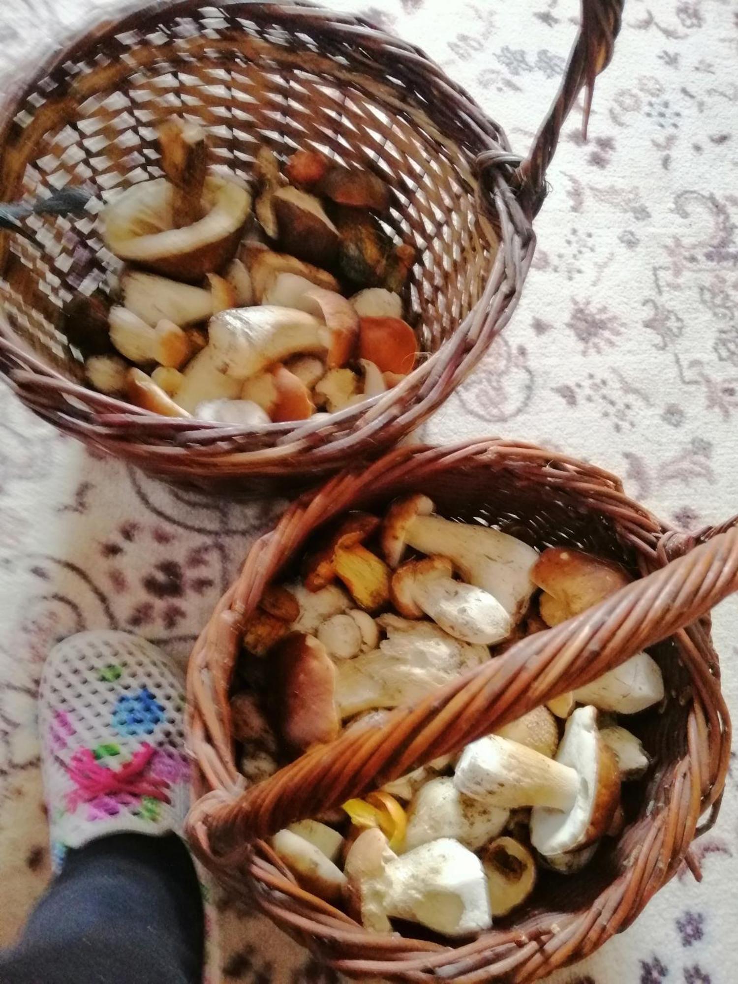 Penzion Jura Chřibská 外观 照片