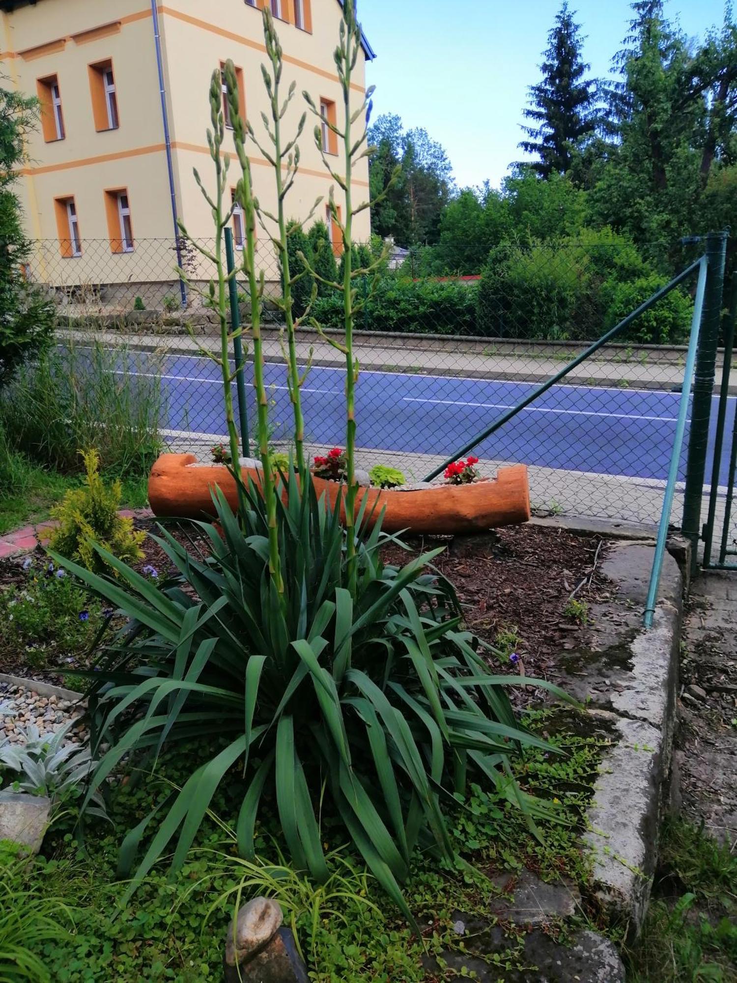 Penzion Jura Chřibská 外观 照片
